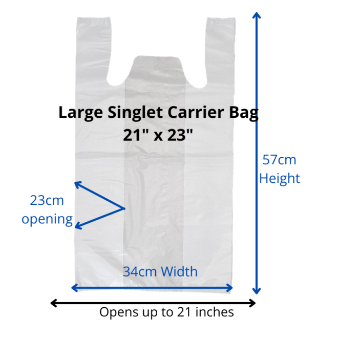 Transparent Singlet Bag Large