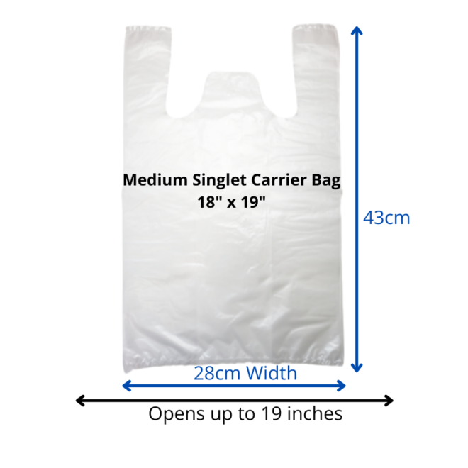 Transparent Singlet Bag