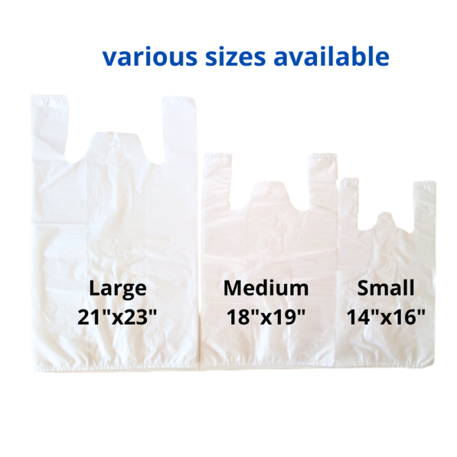 Transparent Singlet Bag