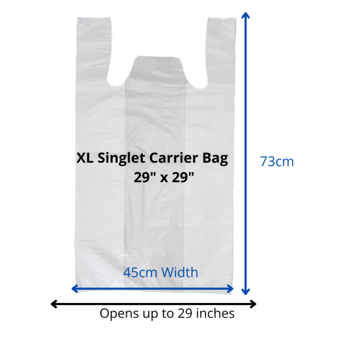 Transparent Singlet Bag